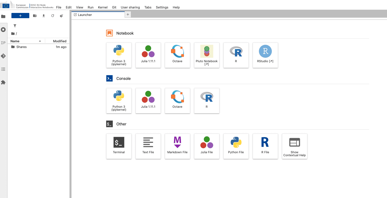 Screenshot of the inside of Interactive Notebooks